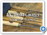 All About Gouges - Beginner Lesson #1